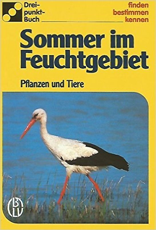 Sommer im Feuchtgebiet. Pflanzen und Tiere