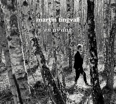 Martin Tingvall - en ny dag
