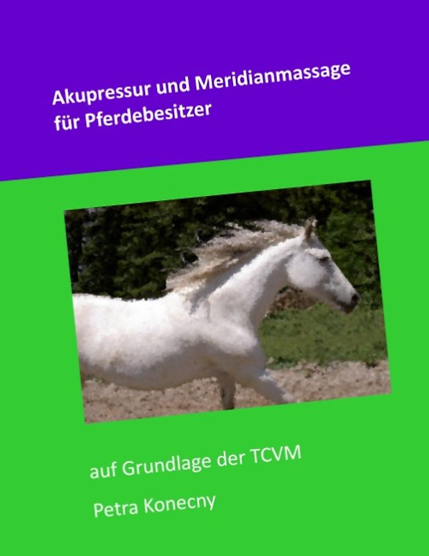 Akupressur und Meridianmassage für Pferdebesitzer