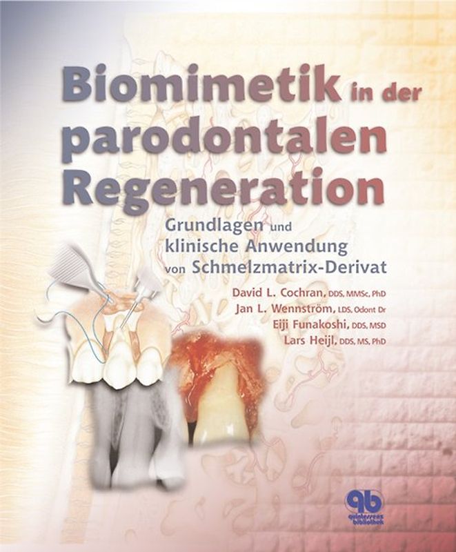 Biomimetik in der parodontalen Regeneration