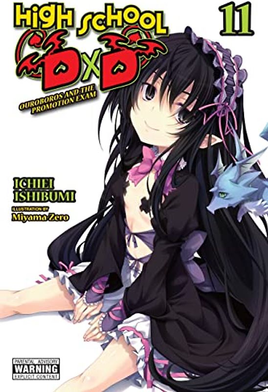 High School DXD, Vol. 11 (Light Novel)