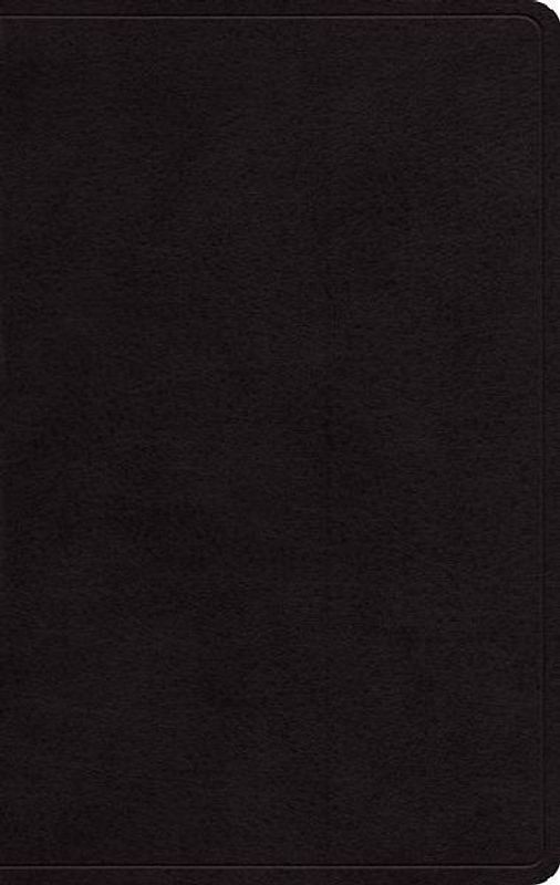 Large Print Personal Size Bible-ESV