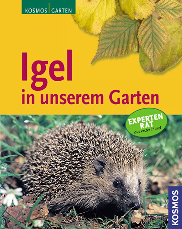 Igel in unserem Garten