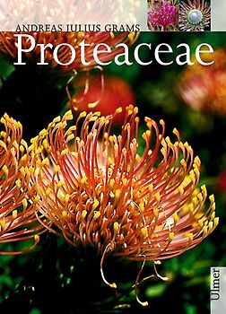 Proteaceae