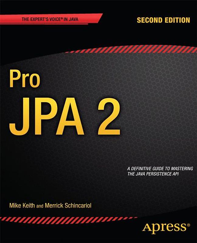 Pro JPA 2