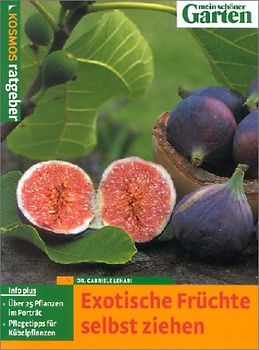 Exotische Früchte selber ziehen