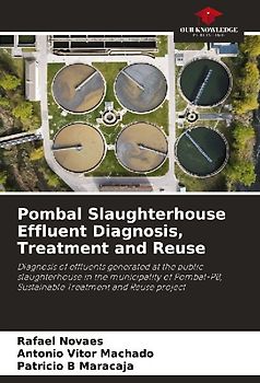 Pombal Slaughterhouse Effluent Diagnosis, Treatment and Reuse