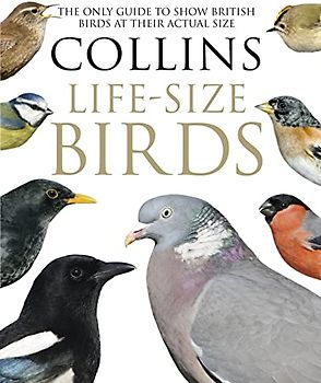 Collins Life-Size Birds: The Only Guide to Show British Birds at their Actual Size