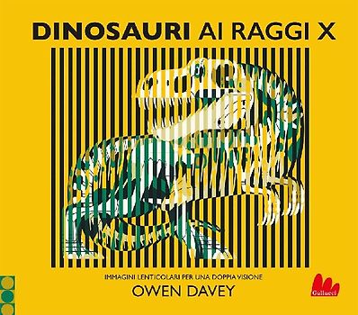 Dinosauri ai raggi X