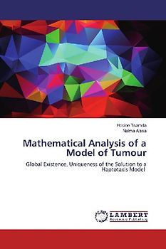 Mathematical Analysis of a Model of Tumour