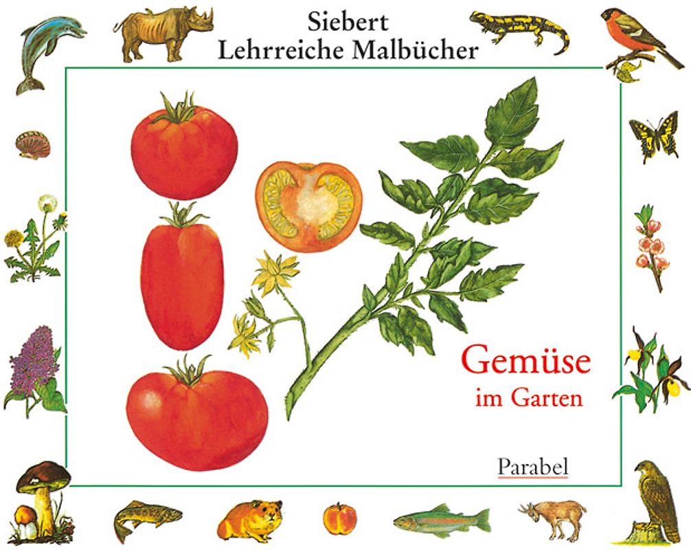 Gemüse im Garten. Malbuch