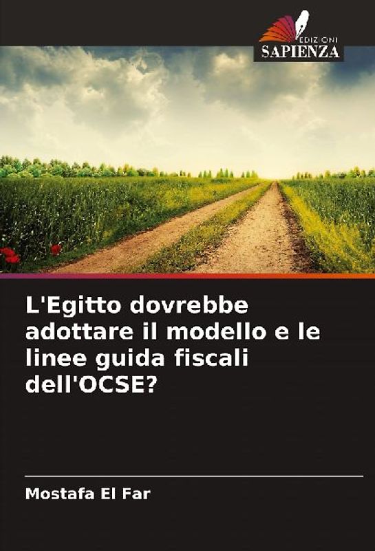 L'Egitto dovrebbe adottare il modello e le linee guida fiscali dell'OCSE?