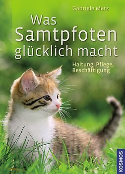 Was Samtpfoten glücklich macht