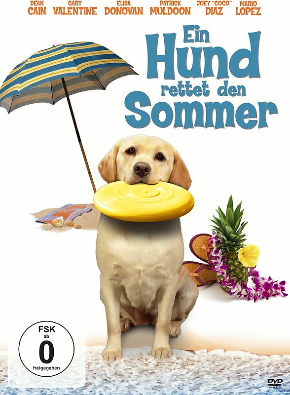 Ein Hund rettet den Sommer DVD