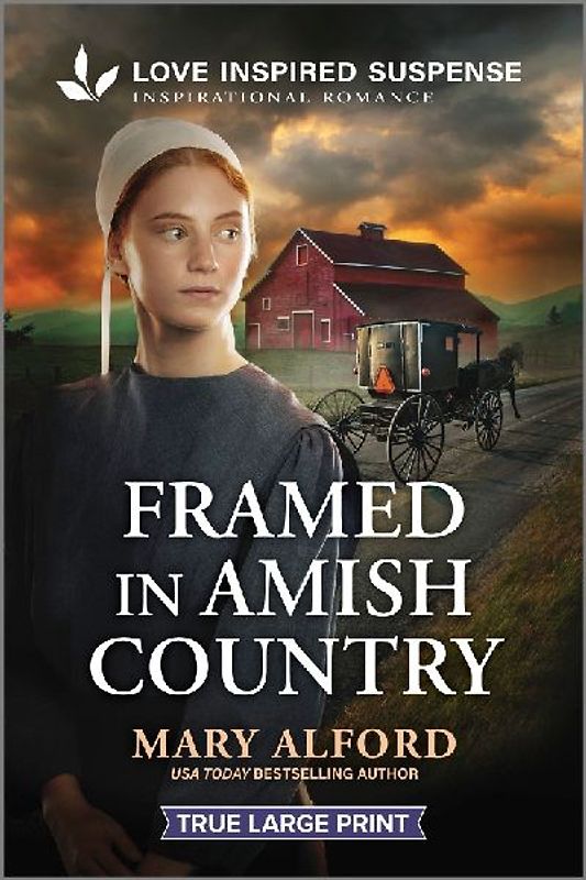 Framed in Amish Country