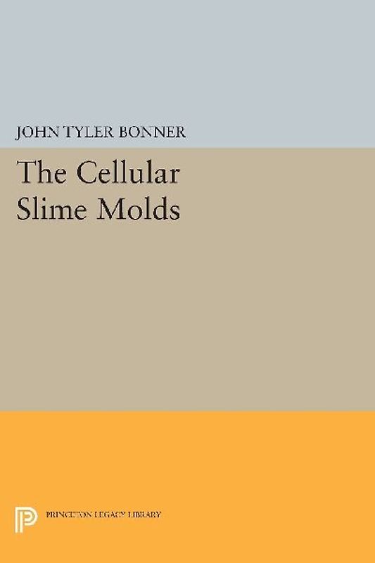 Cellular Slime Molds
