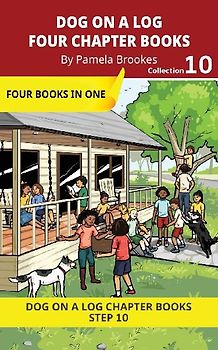 Four Chapter Books 10