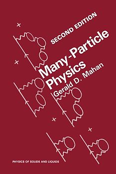 Many-Particle Physics
