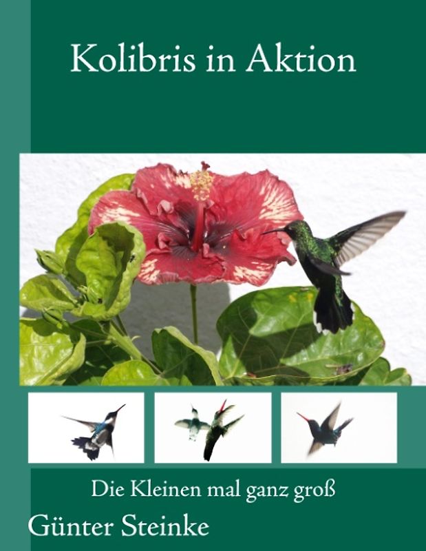 Kolibris in Aktion