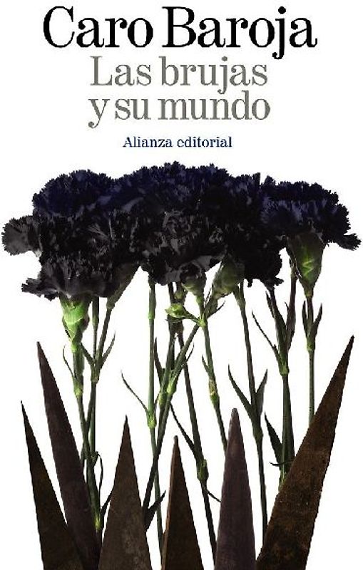 Las brujas y su mundo