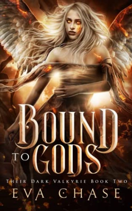Bound to Gods: A Reverse Harem Urban Fantasy (Their Dark Valkyrie, Band 2)