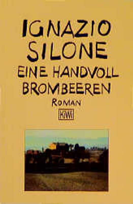 Eine Handvoll Brombeeren