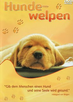 Hundewelpen DVD