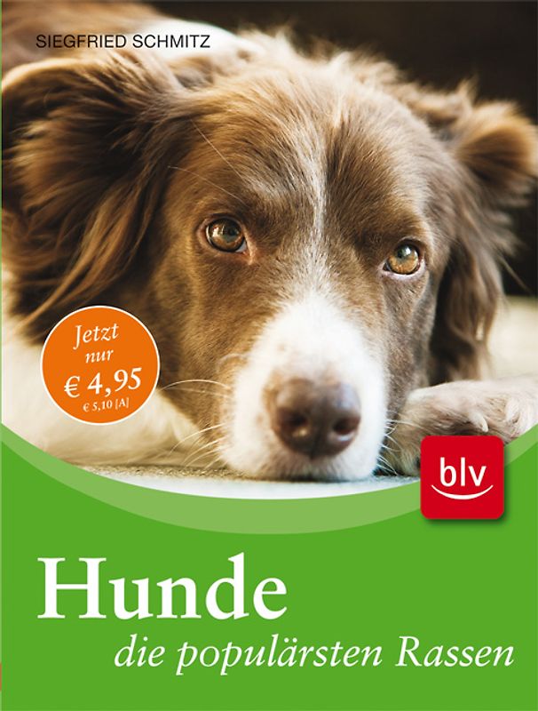 Hunde - die populärsten Rassen