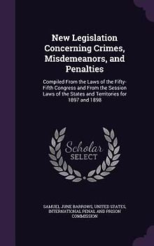 New Legislation Concerning Crimes, Misdemeanors, and Penalties