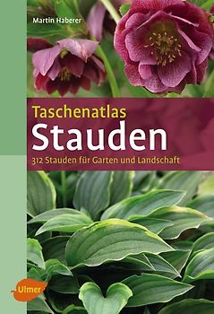 Taschenatlas Stauden