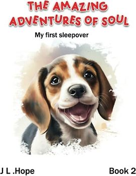 The Amazing Adventures of Soul: My first sleepover