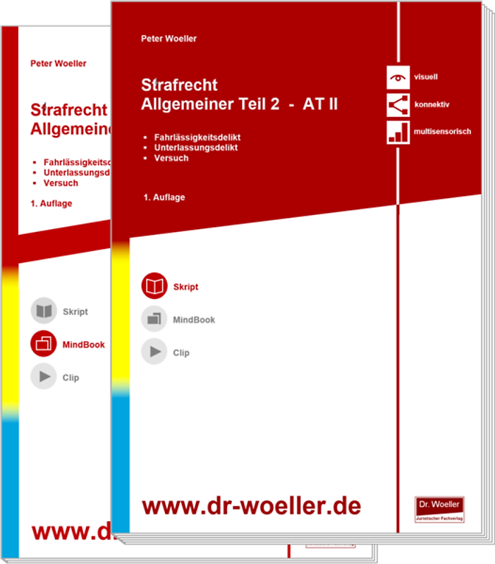 Paket Skript & MindBook - Strafrecht Allgemeiner Teil 2 – AT II