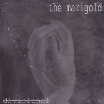 the Marigold - Divisional