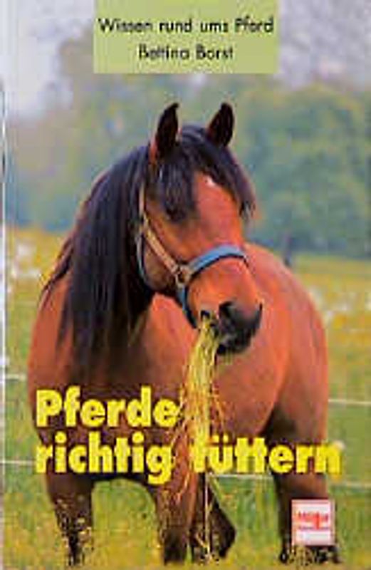 Pferde richtig füttern