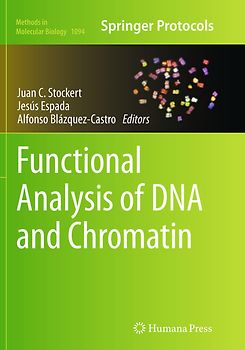 Functional Analysis of DNA and Chromatin