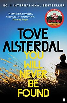 You Will Never Be Found: The No. 1 International Bestseller (High Coast series)