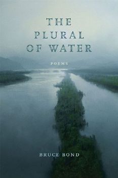 The Plural of Water