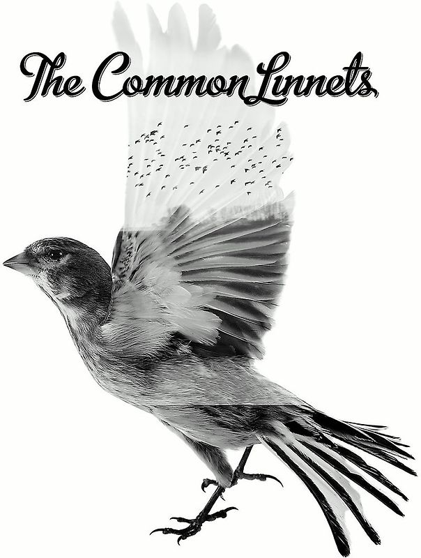 The Common Linnets - The Common Linnets