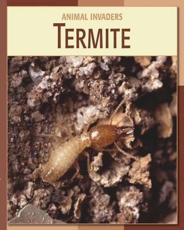 Termite