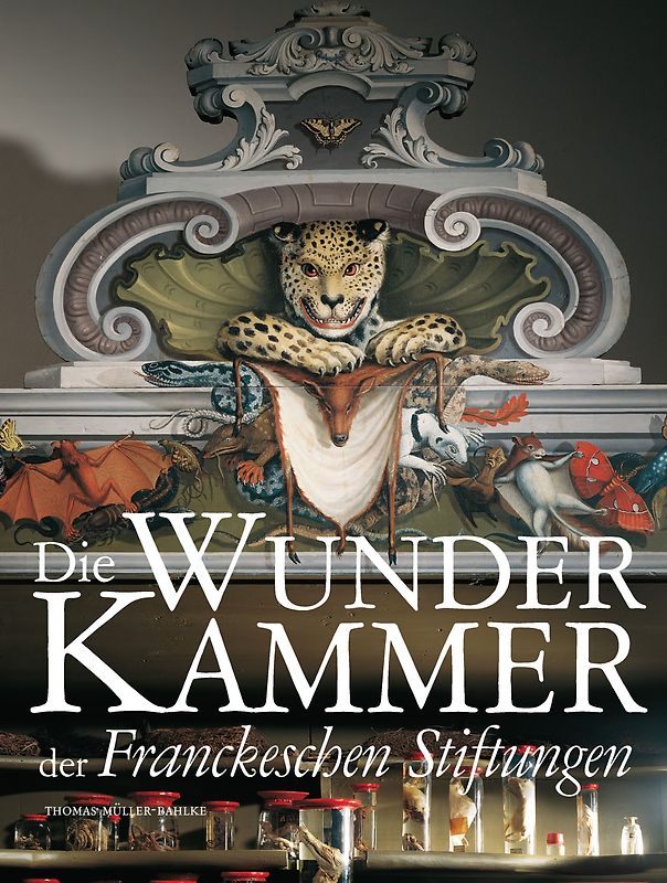 Die Wunderkammer der Franckeschen Stiftungen