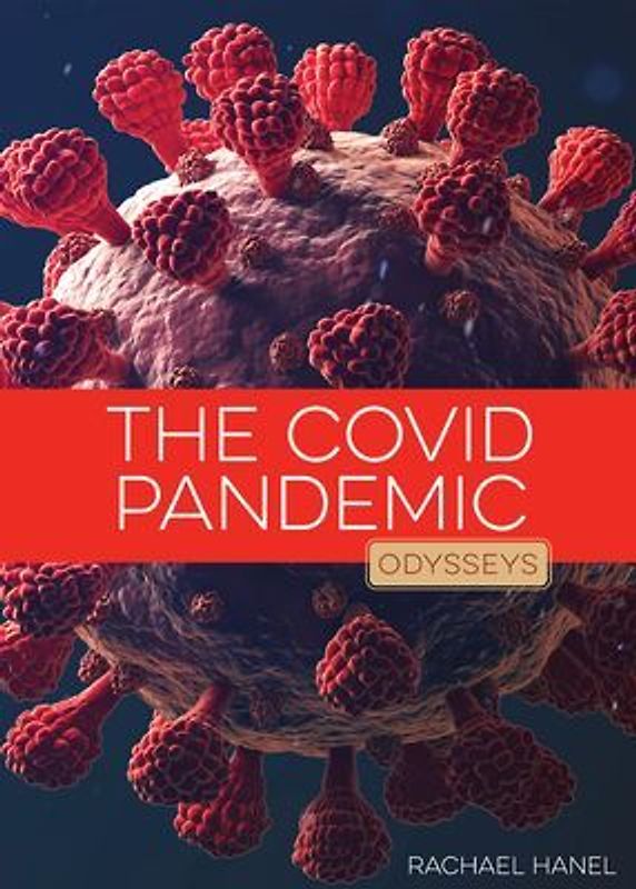 The Covid Pandemic