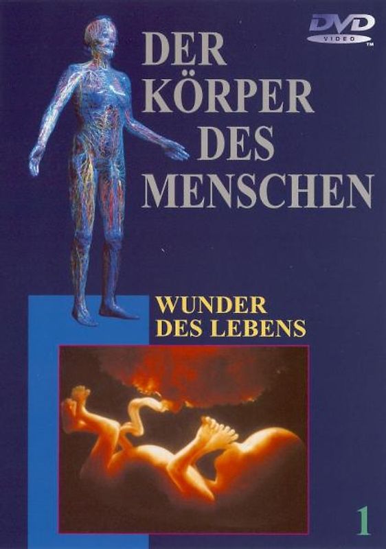 Der Körper des Menschen. Paket: Der Körper des Menschen 1. DVD-Video: Wunder des Lebens: Tl 1 DVD