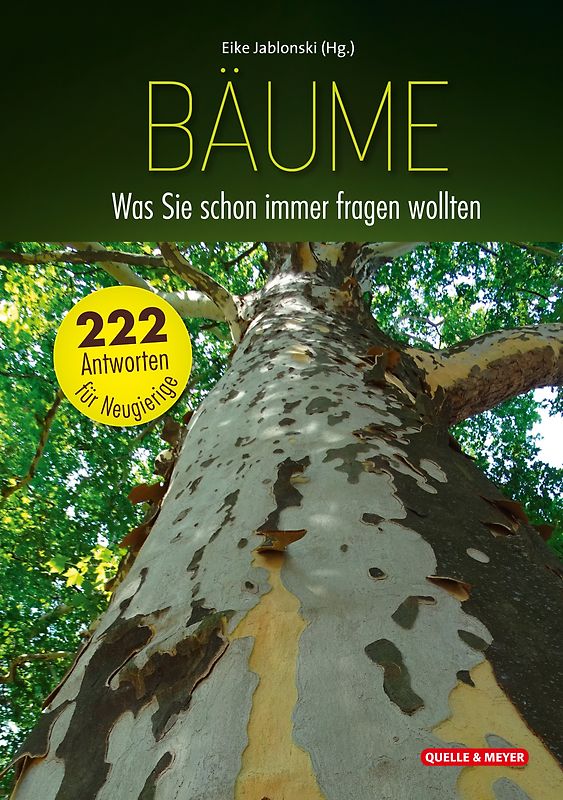Bäume: Was Sie schon immer fragen wollten