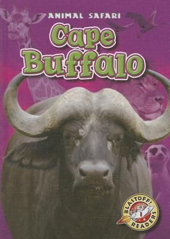 Cape Buffalo