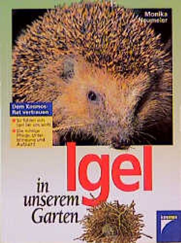 Igel in unserem Garten