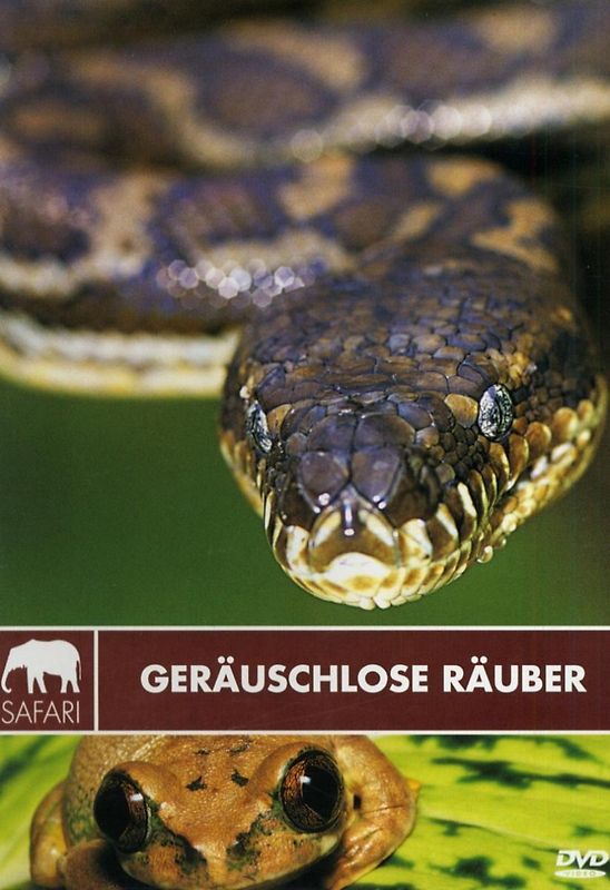 Safari: Geräuschlose Räuber DVD