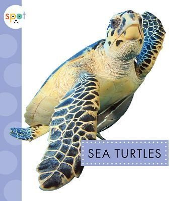 Sea Turtles