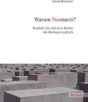 Warum Neonazis?