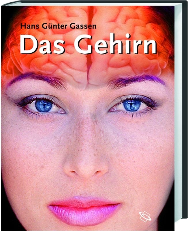 Das Gehirn