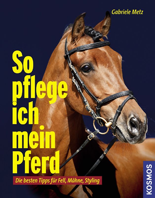 So pflege ich mein Pferd